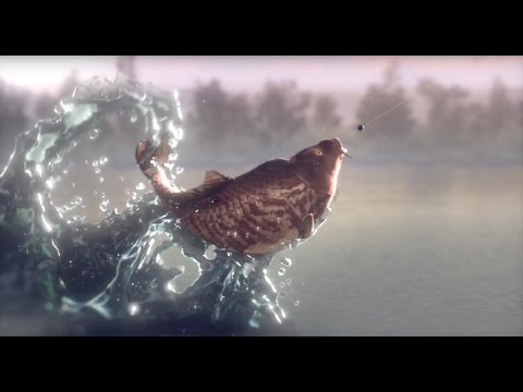 Euro fishing simulator