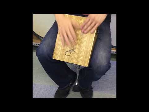 Gecko Gecko Cajon 2020-2025 - Lacquered image 8