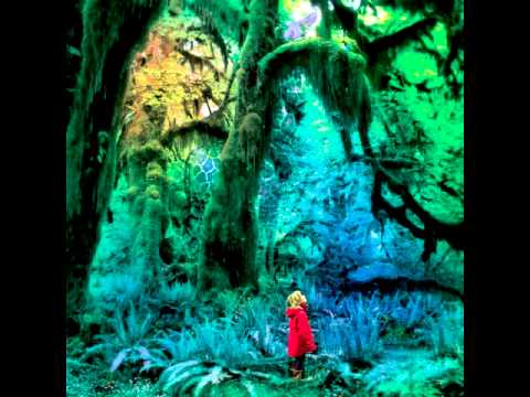 The Ballad of Little Jane - Jacco Gardner