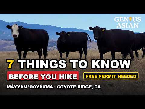 Máyyan 'Ooyákma – Coyote Ridge: 7 Things to Know Before Your First Hike