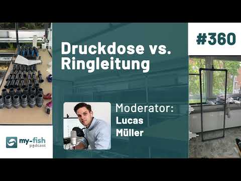 my-fish.org - Druckdose vs. Ringleitung - Belüftung und Filterung von Aquarienanlagen