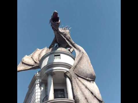 The fire breathing dragon in Harry Potter world