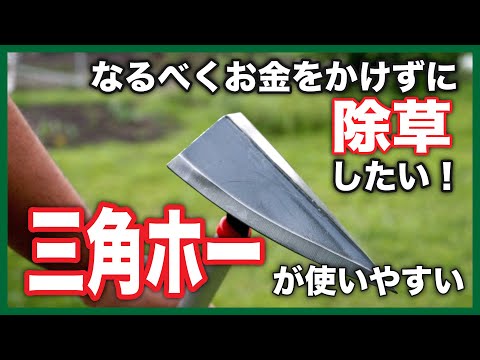 秋に家庭菜園の草取りをする理由と方法は？雑草に別れを告げるために知っておくべきことすべて  庭園