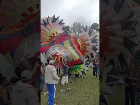 Carnaval. Globos,  Bolívar Cauca 2026