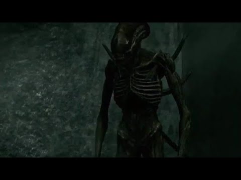 Wiki Aliens : Xénomorphe ou Protomorphe ? - EXPLAINED