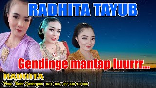 Download lagu TAYUB CAMPURSARI RADHITA || DIRUMAH BP. SARNI  NGANDONG GONDANGSIKI DONGKO TRENGGALEK 13 20 mp3