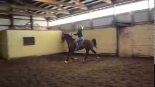 Gino Afire Arena Work