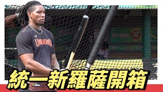 [分享] 洋砲新『羅薩』開箱