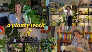 plant styling, thrifting, packing a trade, & getting a million new plants 🙃🪴