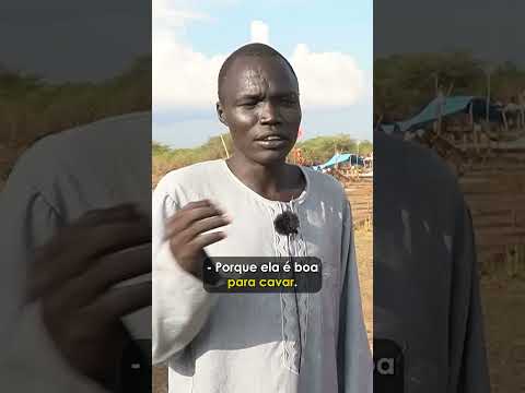 Que tipo de garotas são valorizadas na tribo Mundari? #shorts