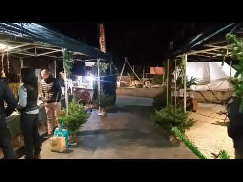 Azimut nature video live