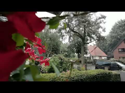 Slow motion Huawei p40 pro Rain Germany 2022