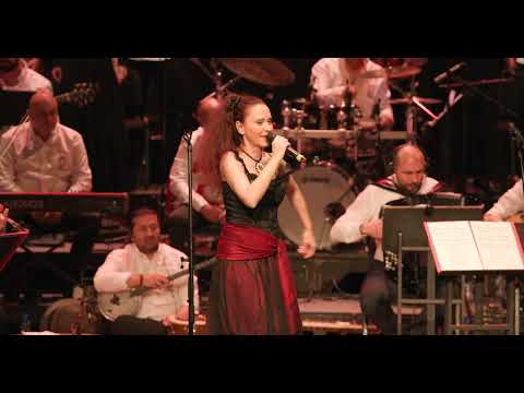 ROMA: THE FORCE OF NATURE - NANE COHA (LIVE 2022)