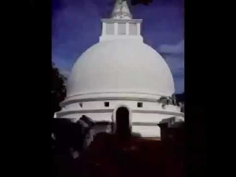 Pillawe bodiyata sudu mal dekak pudannam