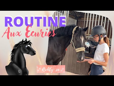 UN DIMANCHE AVEC NOUS 😄 Riva finit sur Siwel