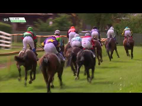 LL, 1. 5. 2018, 5. dostih - CENA SPOLEČNOSTI AUTO OPAT