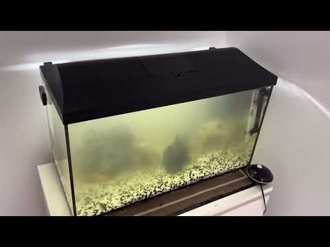 Tips while moving an Aquael Leddy Aquarium part 2 