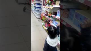 Sóc đi siêu thị