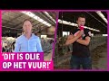 Boze Boer Koos trapt niet in geslijm Mark Rutte