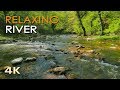 4K Relaxing River - Ultra HD Nature Video -  Water Stream & Birdsong Sounds - Sleep/Study/Meditate