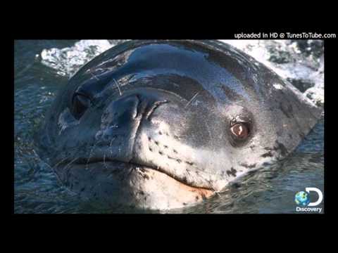 Miro Žbirka - Huckleberry Finn