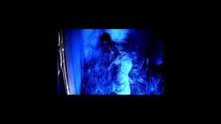 The Paper Chase - Drive carefully, dear