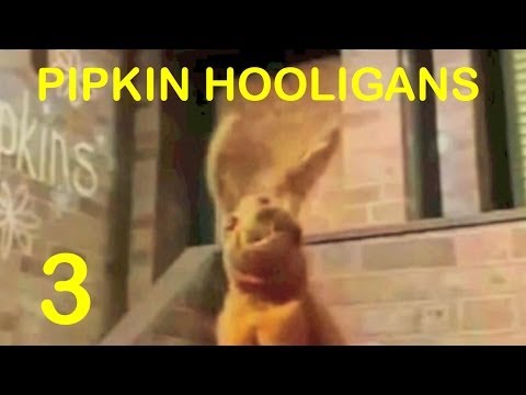 Pipkin Hooligans - Episode 3: "Pipkins Road Rules", "A Story", "Hare On Film"