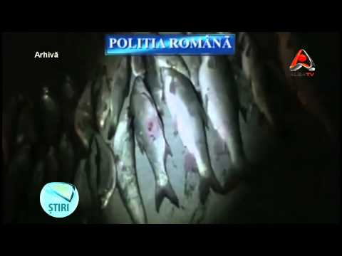 Braconaj piscicol la Căpâlna