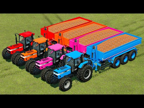 HARVESTING AND LOAD ONION WITH COLORED CASE TRACTORS - Farming Simulator 22
