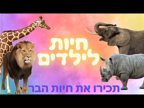 , title : 'חיות לילדים בר לפעוטות טיול בגן חיות, ספארי ובגונג'ל 🦍 לימוד חיות לתינוקות בעברית 🐻 קולות של חיות'