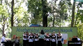 preview picture of video 'Cantate Nobis Énekegyüttes 2012.07.28 Jászberény,Margit-sziget'