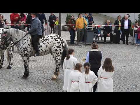 Osterritt in Regen 2024 Teil 2