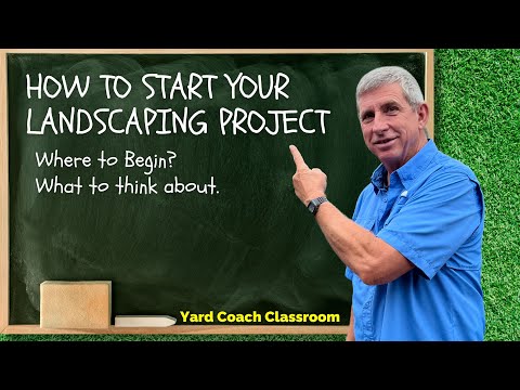 DIY Landscaping for Beginners: Everything You Need to Know to Succeed!