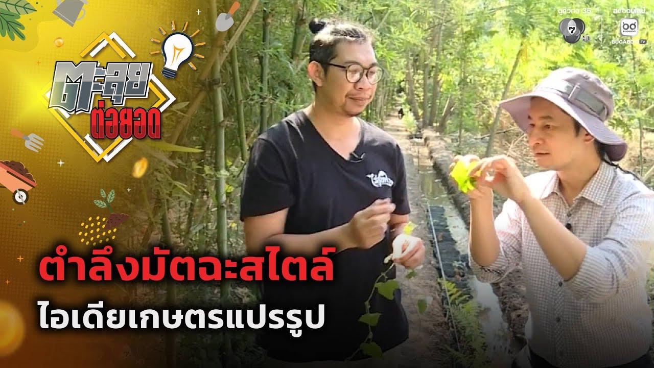 ตำลึงมัตฉะสไตล์ ไอเดียเกษตรแปรรูป | ตะลุยต่อยอด