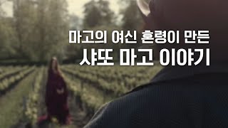 마고의 여신 혼령이 만든, 샤또 마고 이야기