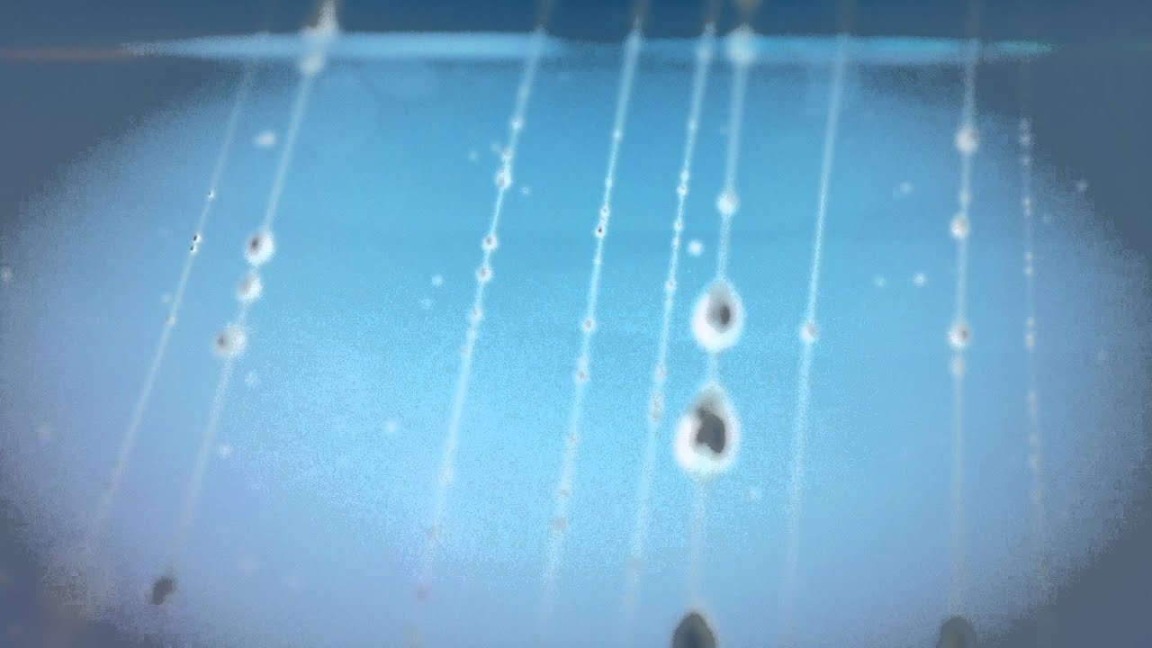 Motion Graphics Gotas de Agua