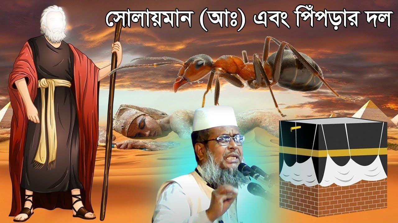 হযরত সোলাইমান (আঃ) এবং পিঁপড়ার দল এর কাহিনী । তোফাজ্জল হোসেন ভৈরবী । Tofazzal hossain bhairovi |