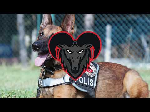 [FREE] UNKNOWN T X DIGDAT X POP SMOKE UK DRILL TYPE BEAT "EXPLORER" | PROD. WADDIS