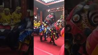 Download lagu ATRAKSI BARONGSAI DI KLENTENG TAY KAK SIE (GANG LOMBOK) SEMARANG mp3 Download lagu ATRAKSI BARONGSAI DI KLENTENG TAY KAK SIE (GANG LOMBOK) SEMARANG mp3