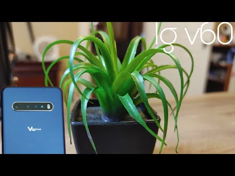 Lg V60 manual camera photos in 2023