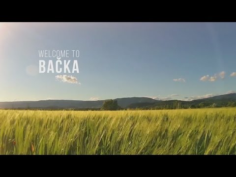 Дисцовер Бачка Регион
