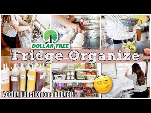 New House DOLLAR TREE ORGANIZATION IDEAS 2026 :: FRIDGE CLEAN & ORGANIZE ON A BUDGET + HAUL