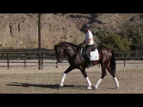 Quijote LXVI noviembre 2020