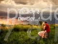 Te voy a perder - Alejandro Fernandez (letra)