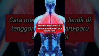 Download lagu How to Clear Mucus in the Lungs and Throat Naturally mp3 Download lagu How to Clear Mucus in the Lungs and Throat Naturally mp3