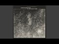 Seashells
