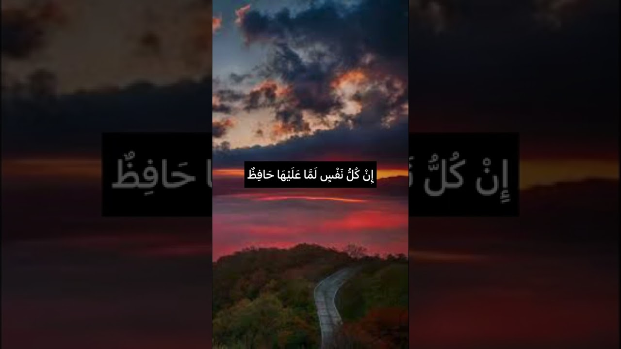 إ ن ك ل ن ف س ل م ا ع ل
