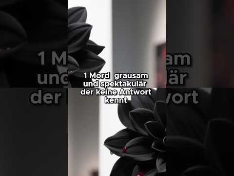 Der rätselhafte Mordfall Schwarze Dahlie erklärt!