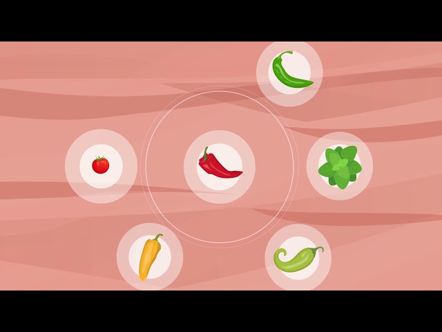 imagen-video-thefoodtech