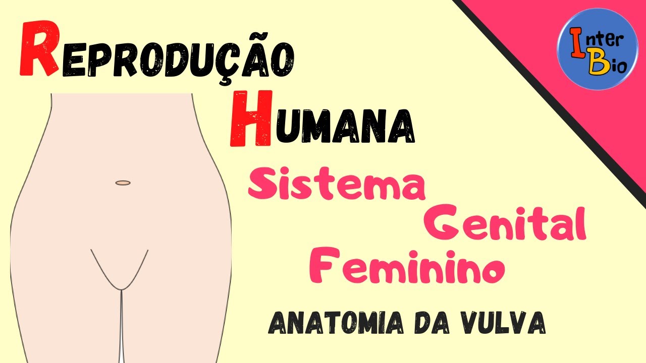 Sistema Genital Feminino - Anatomia da Vulva